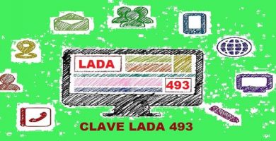 LADA 493